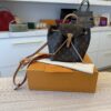 Louis Vuitton Monogram Montsouris BB Backpack