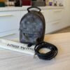 Louis Vuitton Monogram Palm Springs Mini NV