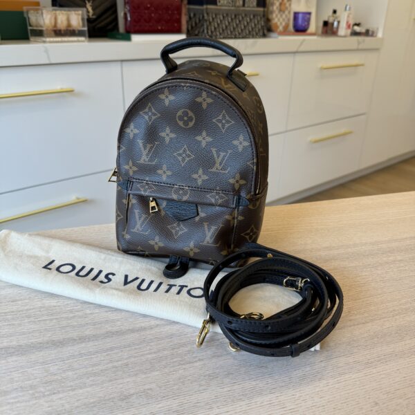Louis Vuitton Monogram Palm Springs Mini NV