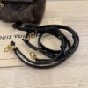 Louis Vuitton Monogram Palm Springs Mini