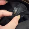 Louis Vuitton Monogram Palm Springs Mini