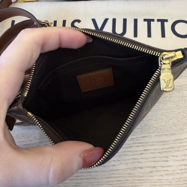 Louis Vuitton Reverse Monogram Loop Hobo