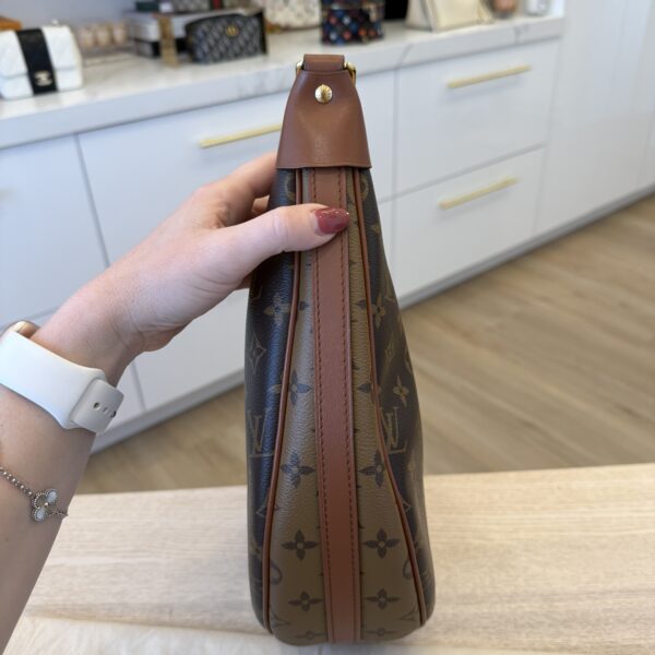 Louis Vuitton Reverse Monogram Loop Hobo