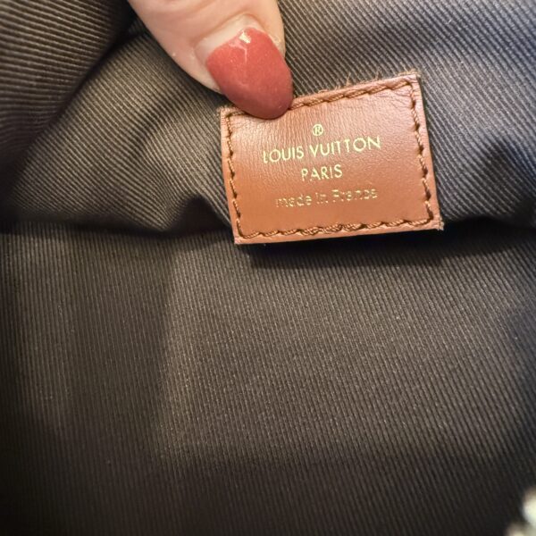 Louis Vuitton Reverse Monogram Loop Hobo