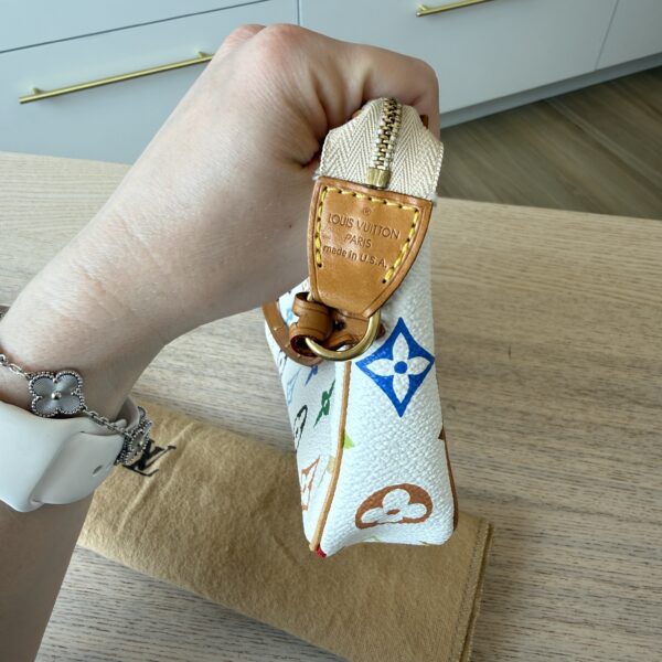 Louis Vuitton Pochette Accessoires Monogram Multicolor