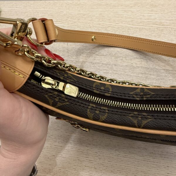 Louis Vuitton Monogram Loop