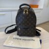 Louis Vuitton Monogram Palm Springs Backpack PM NM