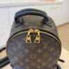 Louis Vuitton Monogram Palm Springs Backpack PM NM