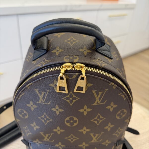 Louis Vuitton Monogram Palm Springs Backpack PM NM