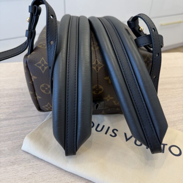 Louis Vuitton Monogram Palm Springs Backpack PM NM