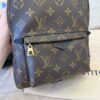 Louis Vuitton Monogram Palm Springs Backpack PM NM