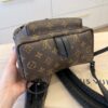 Louis Vuitton Monogram Palm Springs Backpack PM NM