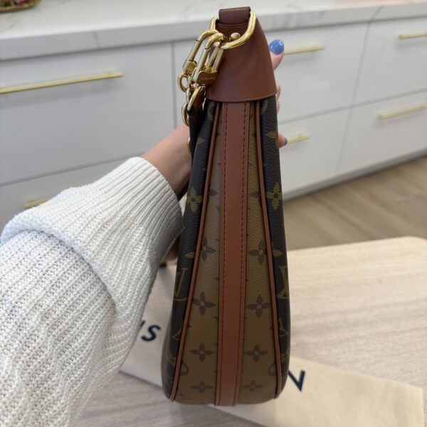 Louis Vuitton Monogram Loop