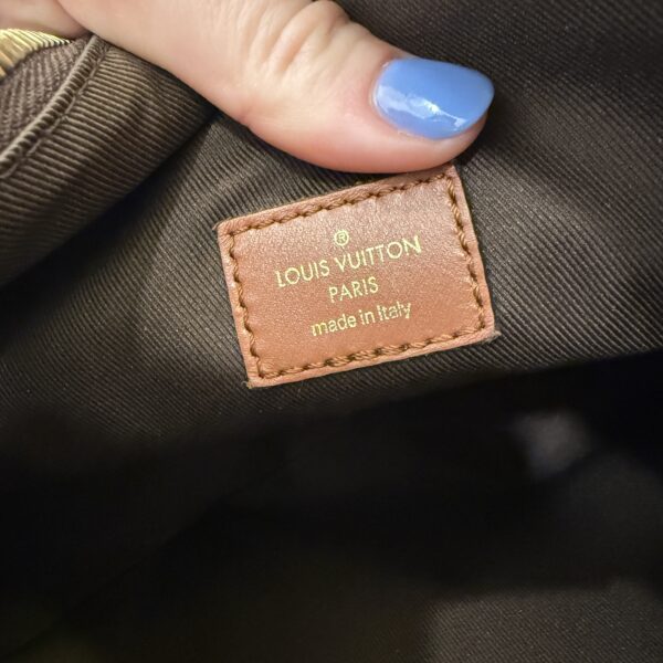 Louis Vuitton Monogram Loop