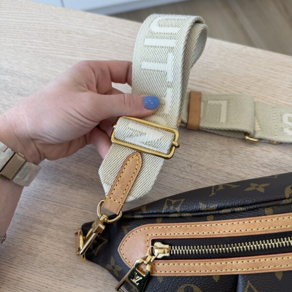 Louis Vuitton Monogram High Rise Bumbag