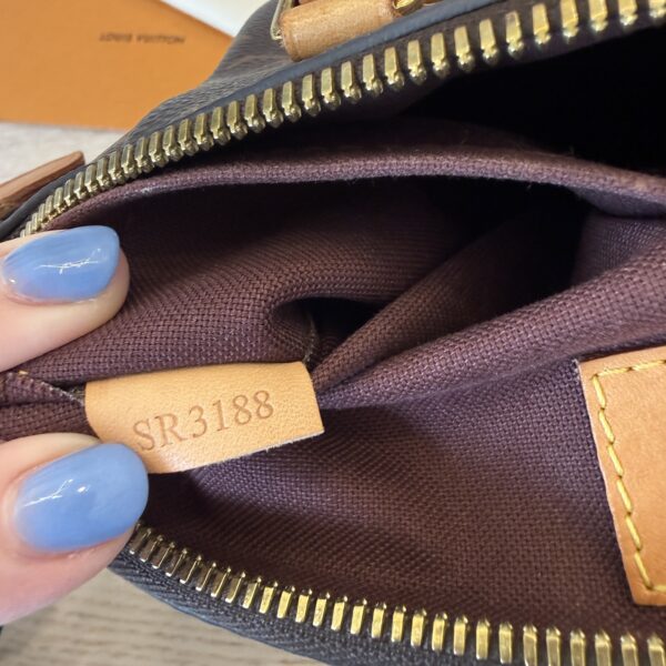 Louis Vuitton Monogram Turenne PM