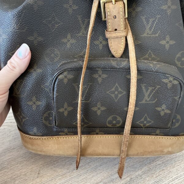 Louis Vuitton Monogram Montsouris MM