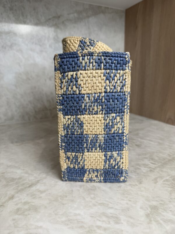 LOEWE Font Gingham Small Raffia Tote Bag