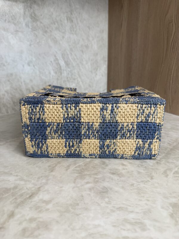 LOEWE Font Gingham Small Raffia Tote Bag