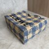 LOEWE Font Gingham Small Raffia Tote Bag