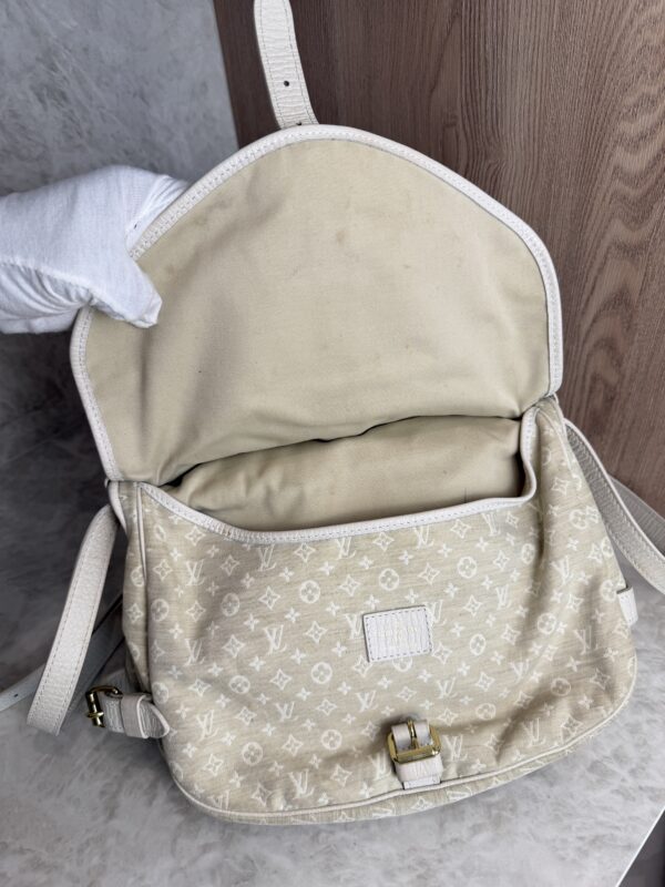 Louis Vuitton Monogram Mini Lin