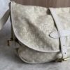 Louis Vuitton Monogram Mini Lin