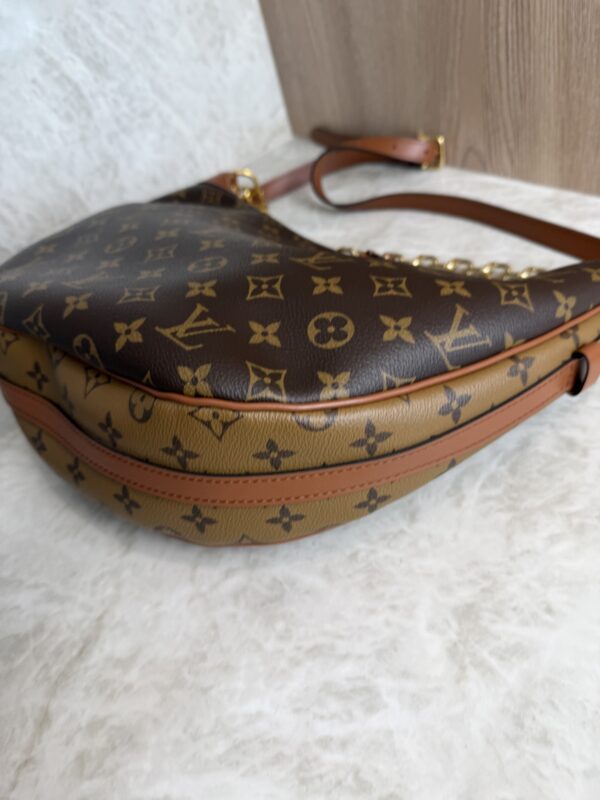 Louis Vuitton Monogram Loop