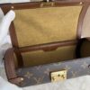 Louis Vuitton Monogram Papillon Trunk (Copy)