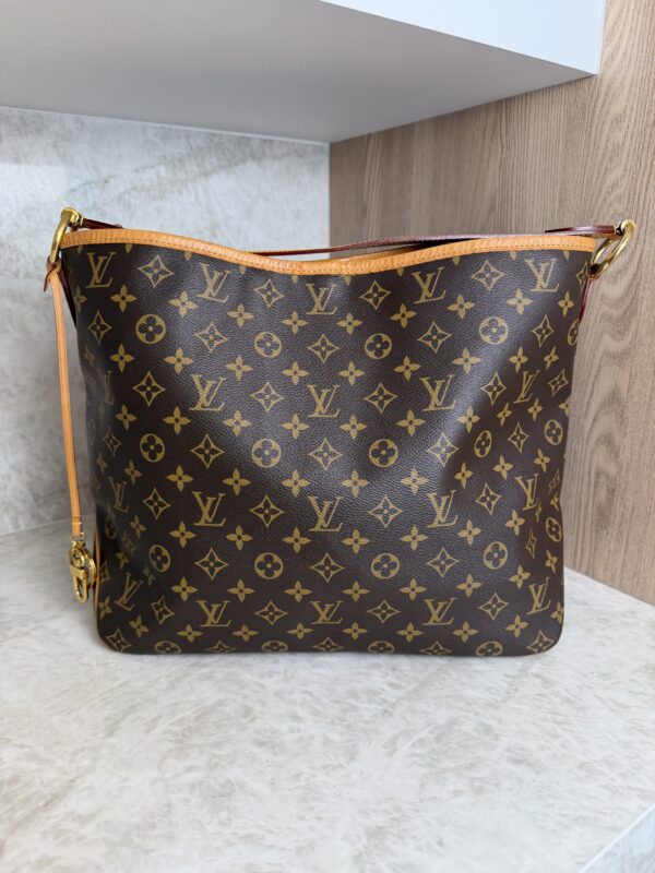 Louis Vuitton Monogram Canvas Delightful MM NM Bag