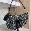 Christian Dior Saddle Handbag with Strap Oblique Canvas Medium