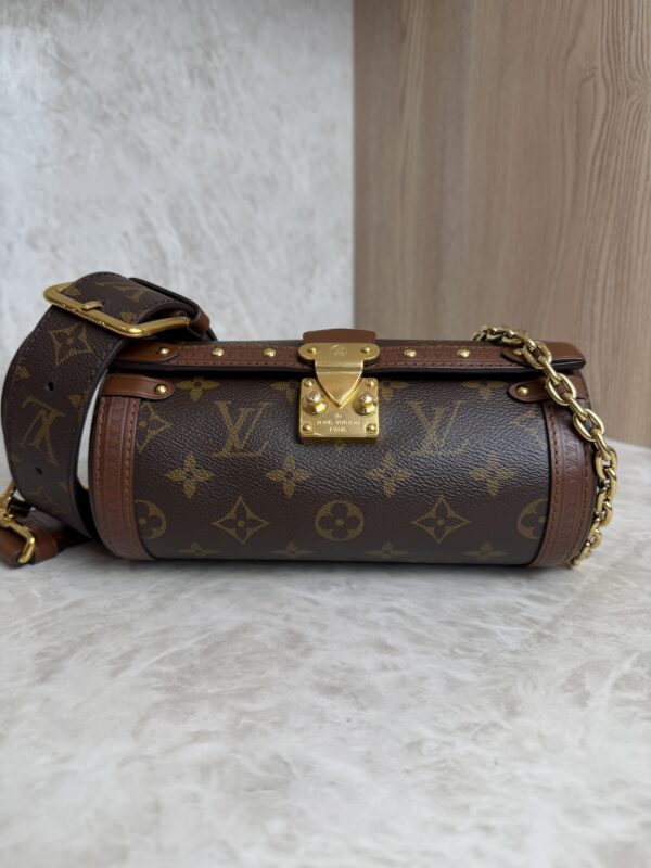 Louis Vuitton Monogram Papillon Trunk
