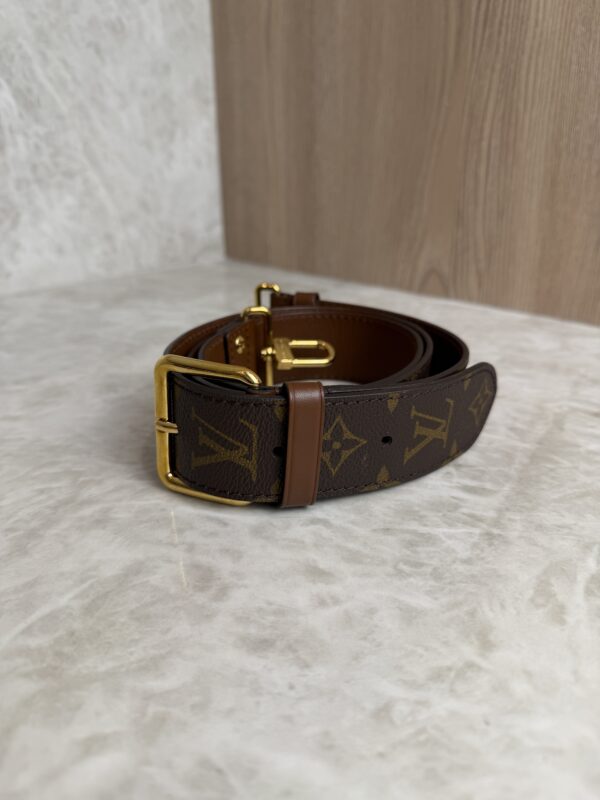 Louis Vuitton Monogram Papillon Trunk