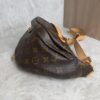 Louis Vuitton Monogram Bumbag