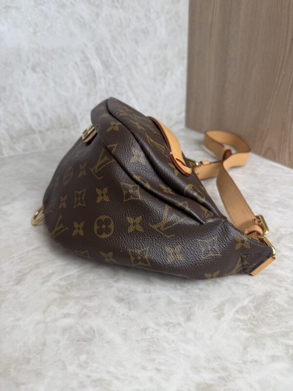 Louis Vuitton Monogram Bumbag