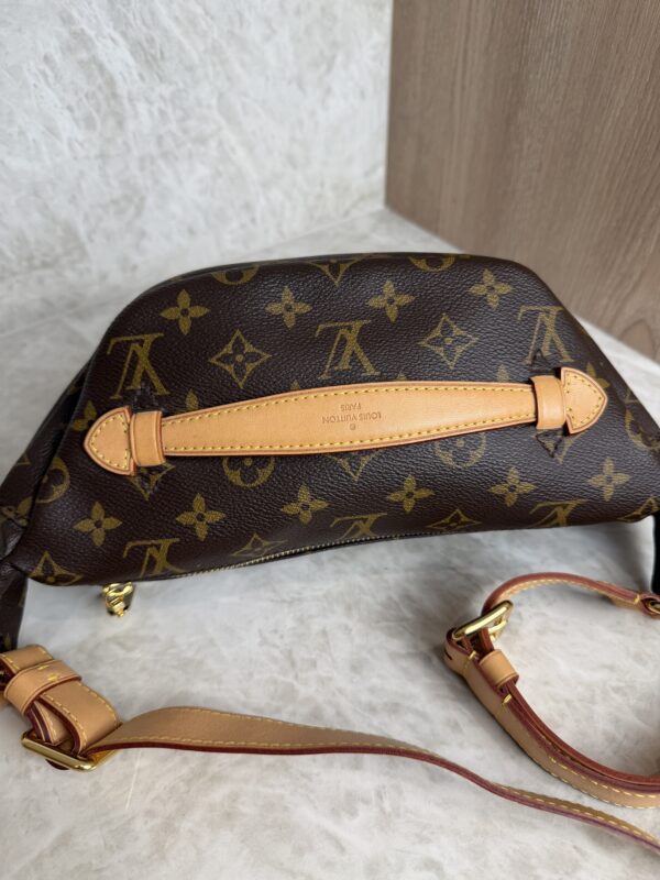 Louis Vuitton Monogram Bumbag