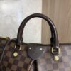 Louis Vuitton Siena Handbag Damier PM