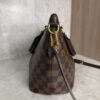 Louis Vuitton Siena Handbag Damier PM