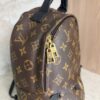 Louis Vuitton Palm Springs Backpack Monogram Canvas PM