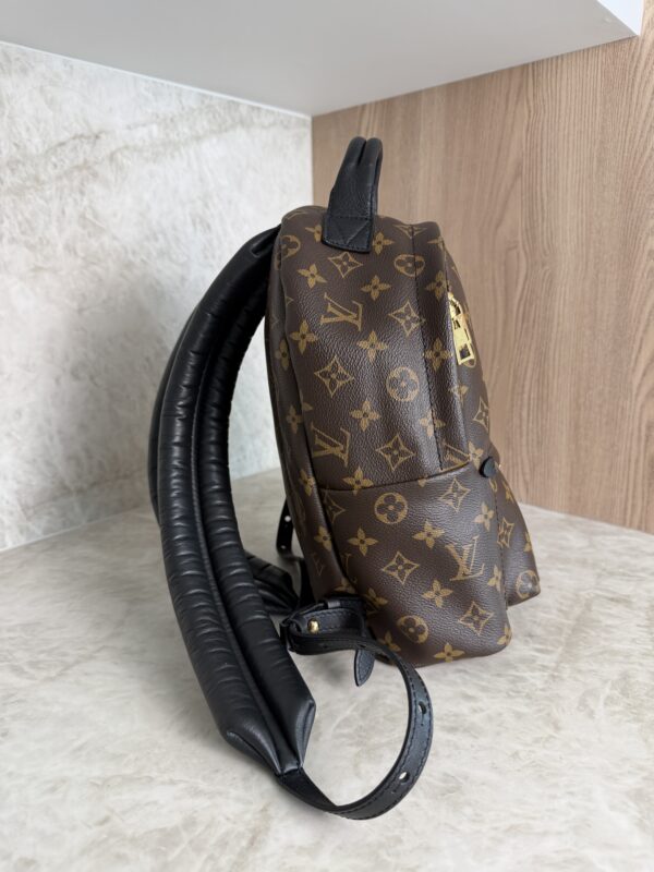 Louis Vuitton Palm Springs Backpack Monogram Canvas PM