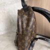 Louis Vuitton Palm Springs Backpack Monogram Canvas PM
