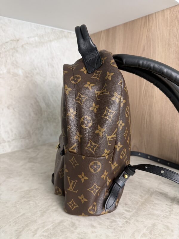 Louis Vuitton Palm Springs Backpack Monogram Canvas PM