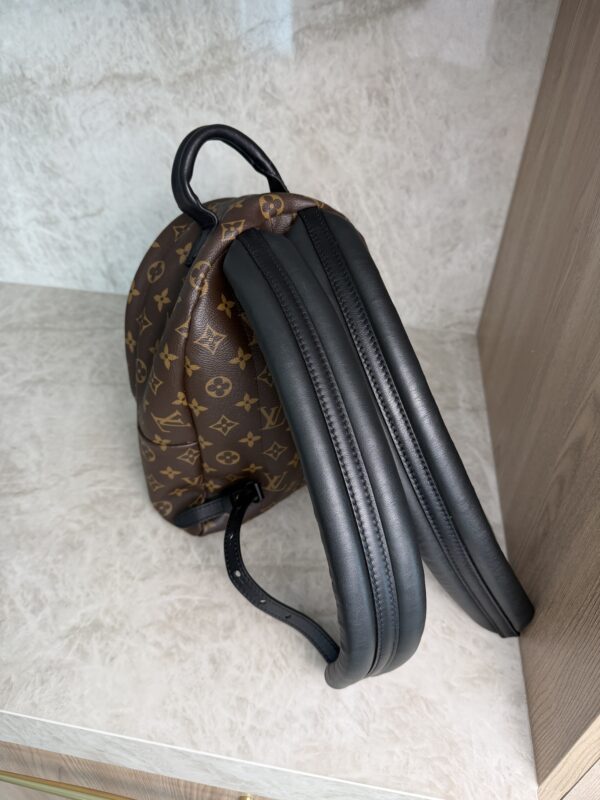 Louis Vuitton Palm Springs Backpack Monogram Canvas PM