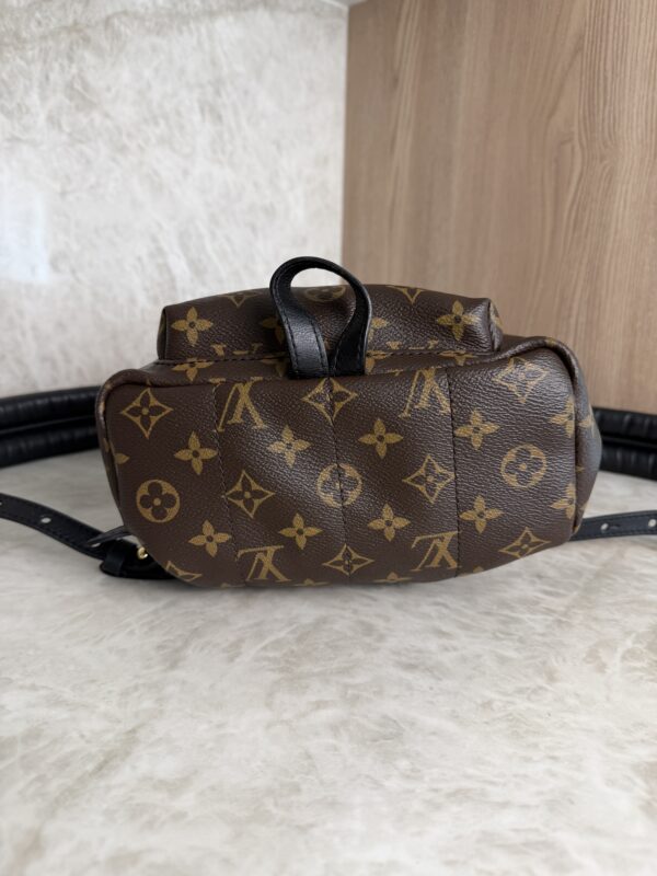 Louis Vuitton Palm Springs Backpack Monogram Canvas PM