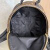 Louis Vuitton Palm Springs Backpack Monogram Canvas PM