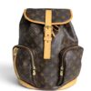 Louis Vuitton Monogram Bosphore Backpack