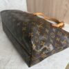 Louis Vuitton Monogram Raspail PM