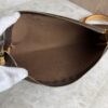 Louis Vuitton Monogram Pochette Eva